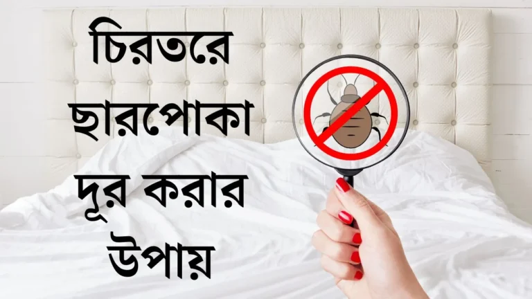 চিরতরে ছারপোকা দূর করার উপায়