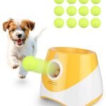 The Best Electric Ball Thrower for Dogs