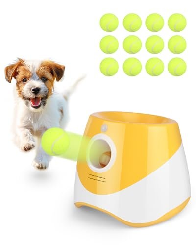 The Best Electric Ball Thrower for Dogs