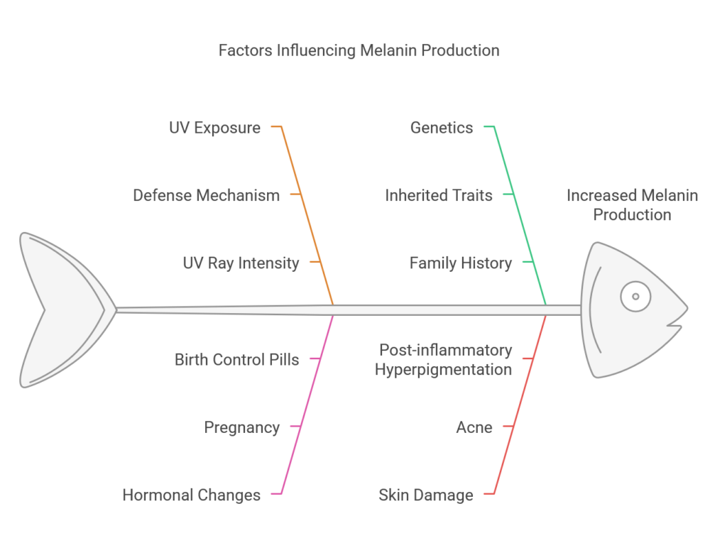 Factors That Increase Melanin Production visual selection